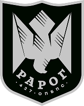 427 окремий полк безпілотних систем «РАРОГ»